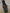 Long Cornrow Ghana Weaving Braided Wigs With Beads